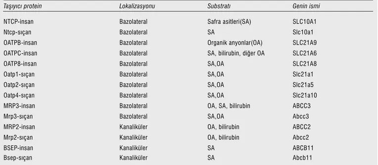 Tablo 1. Hepatik taşıyıcı proteinler