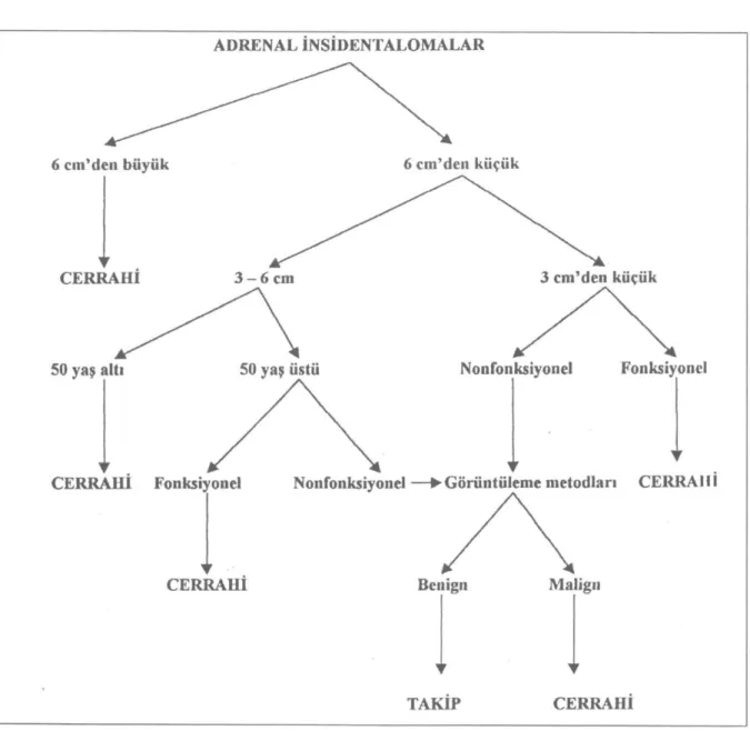 Şekil 4: Adrenal insidentalomalarda algoritm 