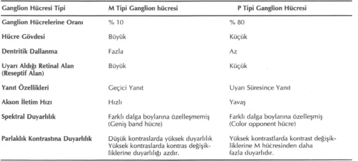 Tablo 1: Görsel sistemde parelel işlem. 
