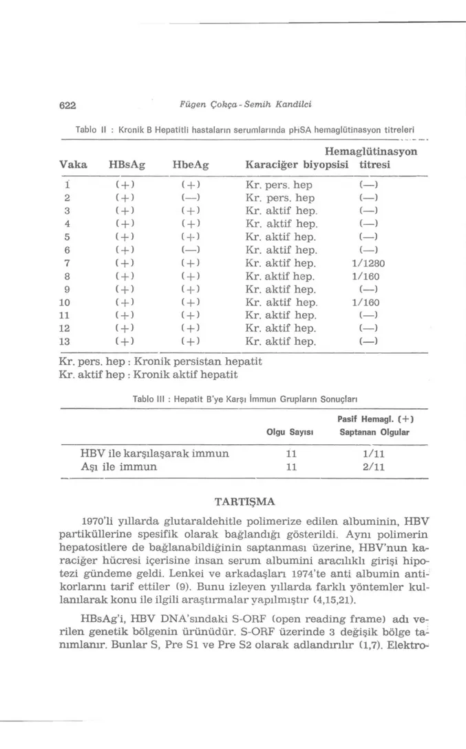 Tablo II : Kronik B Hepatitli hastaların serumlarında pHSA hemaglütinasyon titreleri  Hemaglütinasyon  Vaka  HBsAg  HbeAg  Karaciğer biyopsisi  titresi 
