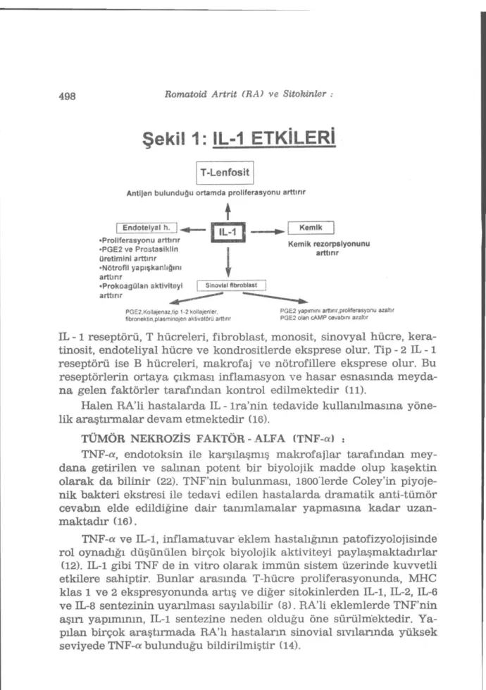 Şekil 1: IL-1 ETKİLERİ 