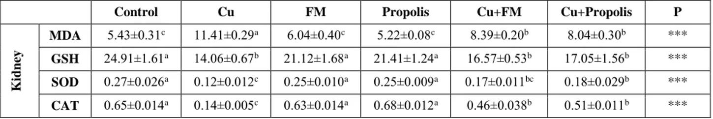 Tablo 4. Deneme gruplarının karaciğerlerinde propolis ve fluniksin meglüminin (FM) MDA (nmol/ml homojenat), GSH (nmol/mg  protein), SOD (% inhibisyon/ mg protein) ve CAT (k/g protein) aktiviteleri üzerine etkileri  