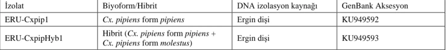 Tablo 1. Mt-COI gen bölgesine göre karakterize edilen izolatların biyoform, DNA izolasyon kaynağı ve GenBank aksesyon numaraları