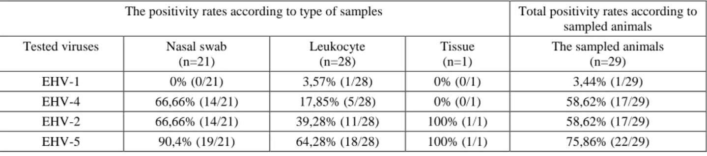 Table 2. The results of single and multiple infections for EHVs  in foals.  
