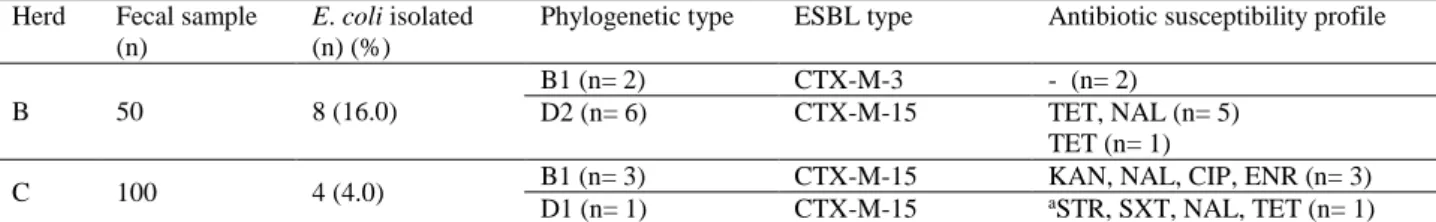Table 1. Distribution of ESBL-producing E. coli isolates (n= 12) according to phylogenetic group and antibiotic resistance profiles