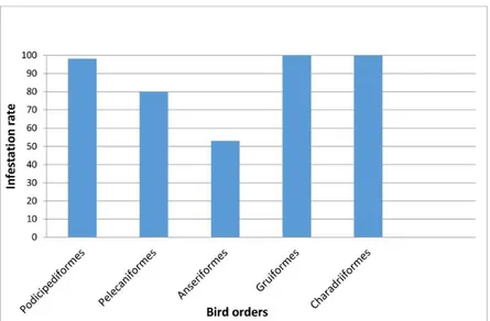 Graphic 1. Infestation rates of chewing lice to the bird orders.  Grafik 1. Kuş takımlarına göre çiğneyici bit enfestasyon oranları
