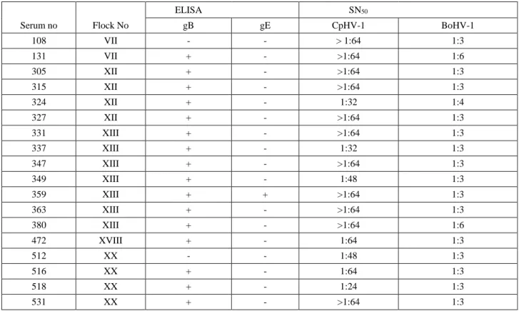 Table 3. Evaluation of VNT positive animals for BoHV-1 infection together with the results of CpHV-1 VNT and gB/gE ELISA