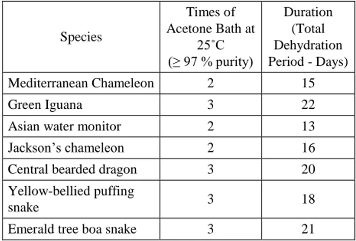 Figure 3. Green iguana in gas curing-hardening stage.  Şekil 3. Gaz kürleme-sertleştirme aşamasındaki yeşil iguana