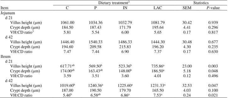Table  5.  Effects  of  dietary  P.  xylanexedens  and  synbiotic  supplementations  on  histomorphological  parameters  of  the  jejunum  and  ileum 1 