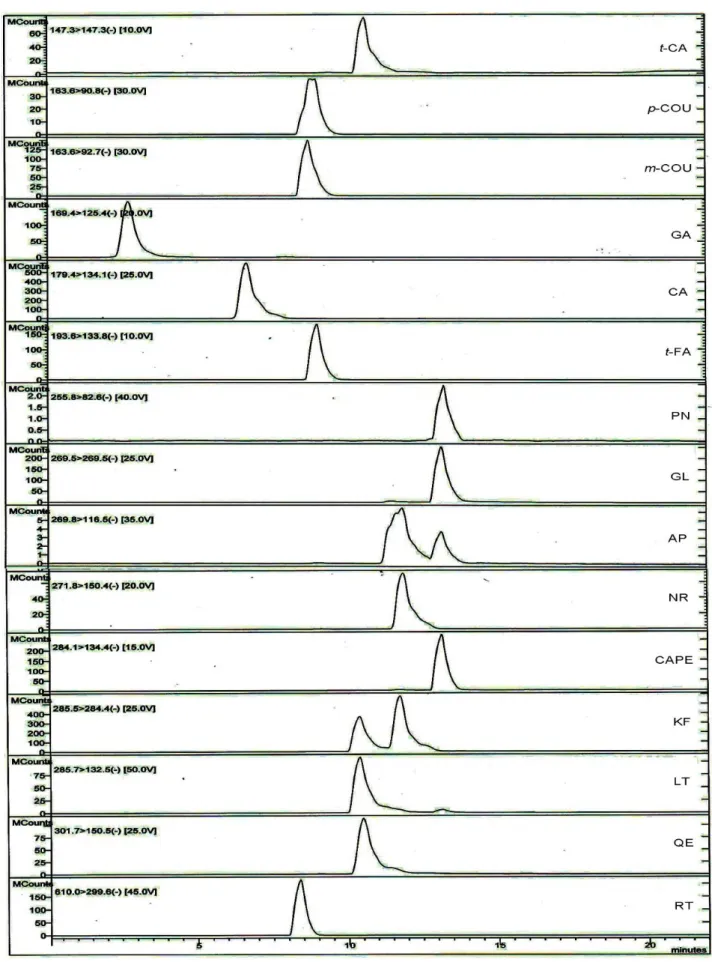 Şekil 1. Fenolik bileşiklerin LC-MS/MS kromatogramları. 