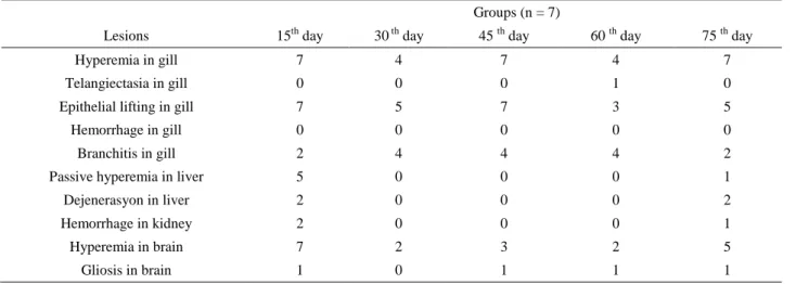 Table 2. The number of fish in the cyphenothrin group showing microscopic changes on each day (n = 7)
