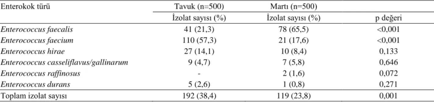Tablo 2: Tavuk ve martı dışkı örneklerinden izole edilen enterokok türleri.  Table 2: Chicken and gulls enterococcus species isolated from stool samples
