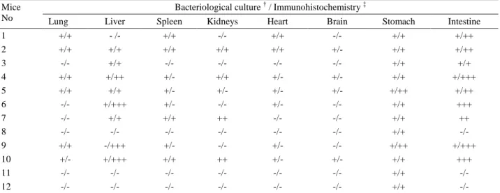 Table 1 Relationship between cultural (†) and immunohistochemical (‡) results obtained from organs of BALB/c mice infected by  PO inoculation