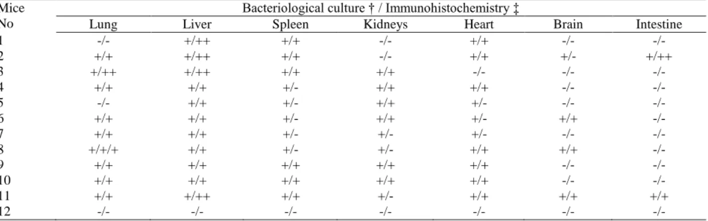 Table 2 Relationship between cultural (†) and immunohistochemical (‡) results obtained from organs of BALB/c mice infected by IP  inoculation