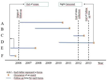 Figure 2. Kaplan-Meier survival curve of racing career lengths  for  Arabian  horses  racing  in  Turkey  between  2006  and  2012