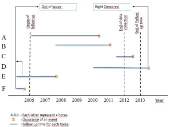 Figure 2. Kaplan-Meier survival curve of racing career lengths  for  Arabian  horses  racing  in  Turkey  between  2006  and  2012
