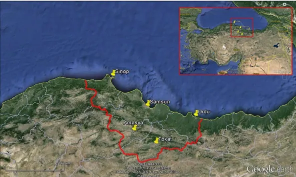 Figure 1. The map of northern Turkey showing the location of the study sites.  Şekil 1