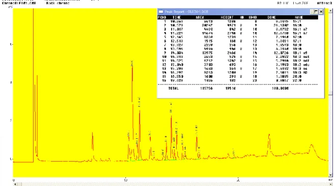 Fig 1. Total ion chromatogram of olive leaf extract. 