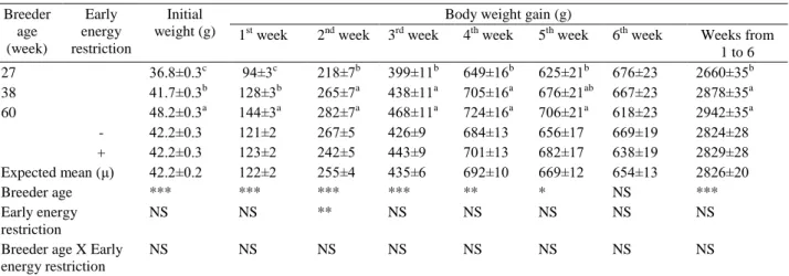 Table 2. Effects of breeder age and early energy restriction on chick weight and body weight gain of broilers