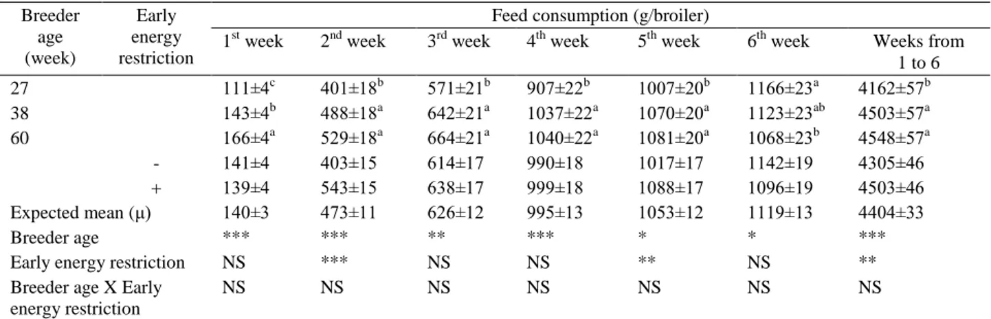 Table 3. Effects of breeder age and early energy restriction on feed consumption of broilers