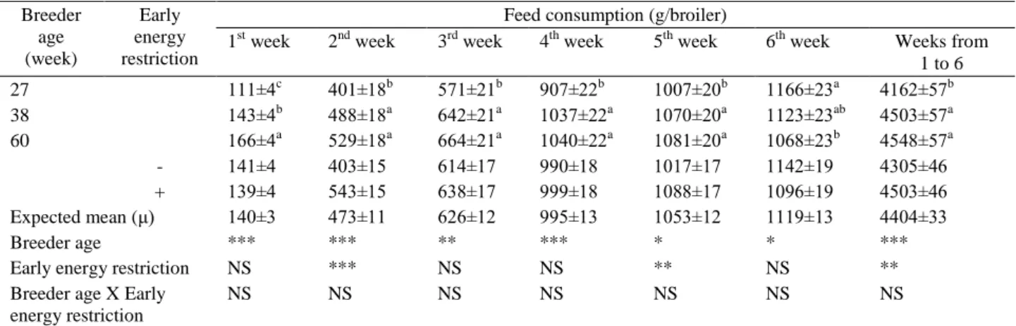 Table 3. Effects of breeder age and early energy restriction on feed consumption of broilers