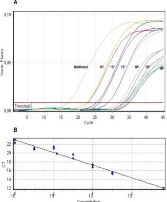 Fig 1. Detection limit and standard curve of real-time qRT-PCR  targeting  L  gene.  (A)  Amplification  of  10-fold  serial  dilutions  of  gRNA  of  PPRV  at  p85  revealed  between  2.3  and  2.3  x  10 6 copies/mL