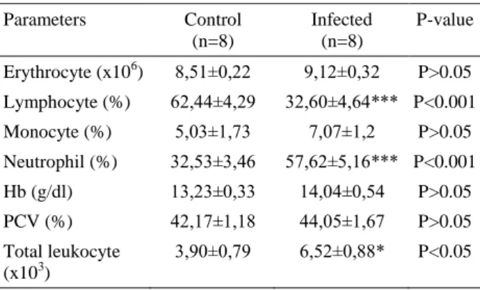 Tablo  2.  Toksoplazma  enfekte  gerbillerde  bazı  hematolojik  parametreler  Parameters  Control  (n=8)  Infected (n=8)  P-value  Erythrocyte (x10 6 )  8,51±0,22  9,12±0,32  P&gt;0.05  Lymphocyte (%)  62,44±4,29  32,60±4,64***  P&lt;0.001  Monocyte (%)  