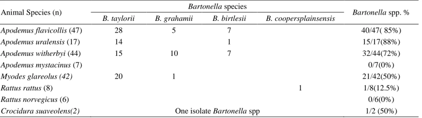 Table 1. Distribution of 110 Bartonella spp. isolates in small mammalians (Rodents and Insectivores)   Tablo 1