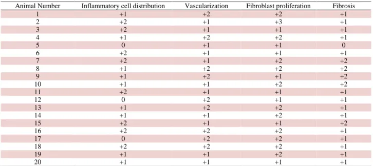 Table 1: Histopathological evaluation results of Control group (0, +1, +2, +3)  Tablo 1: Kontrol grubunun histopatolojik değerlendirme sonuçları (0, +1, +2, +3) 