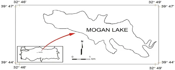 Figure 1. Map of Mogan Lake.  Şekil 1. Mogan Gölü Haritası. 