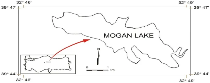 Figure 1. Map of Mogan Lake.  Şekil 1. Mogan Gölü Haritası. 