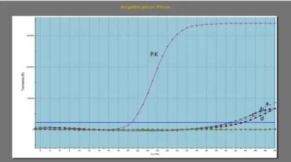 Şekil 1.  TaqMan Real Time PCR analizleri sonucu N. caninum pozitif saptanan bazı örneklerin amplifikasyon grafikleri; a,b,c,d:  Pozitif örnekler, PK: Pozitif Kontrol 