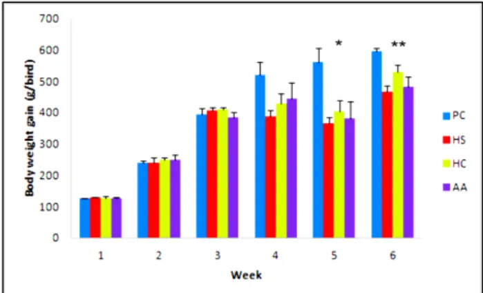 Figure 1. Weekly body weight gain of broilers in positive  control, heat stress, heat conditioned and ascorbic acid  supplemented groups (g/bird)