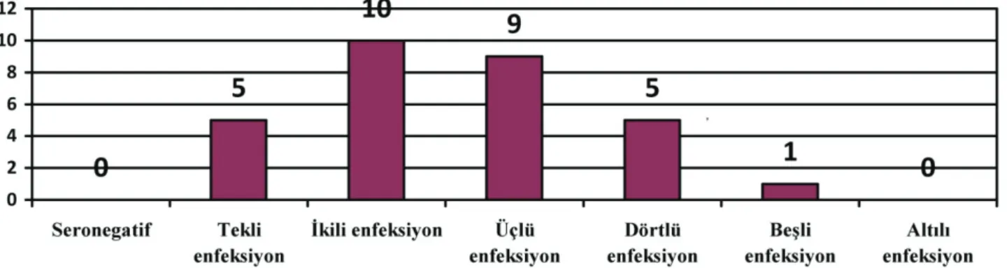 Fig 4. Numerical distribution of multiple infections in goats. 