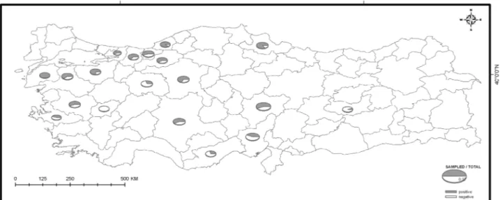 Figure 1. Map detailing farm location where samples were taken and percentages of farms positive for Eimeria