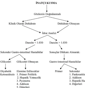 Şekil 1. İnatçı Kusmanın Diyagnostik Algoritmi.   Figure 1. Diagnostic algorithm for persistent vomiting