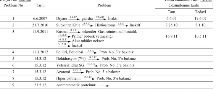 Tablo 1. Anahtar problem listesi örneği    Table 1. Example of key problem list.          