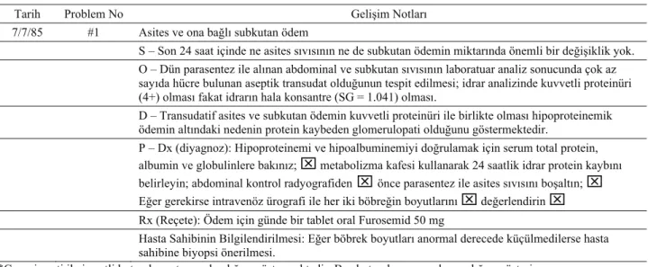 Tablo 4. Probleme yönelik gelişme notlarından örnek.   Table 4. Example of problem oriented progres notes