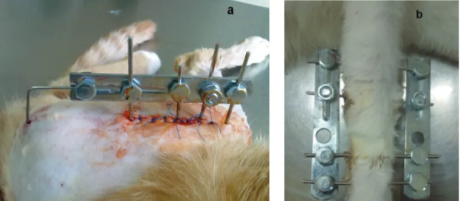 Şekil 2. Modifiye eksternal fiksatörün uygulanışı Tibia Tip I Tie-in (a), Radius-ulna Tip II (b)