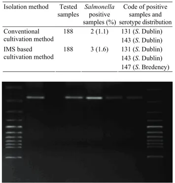 Tablo 1. Sığır safrasında Salmonella spp. varlığında kullanılan  iki izolasyon yönteminin karşılaştırılması