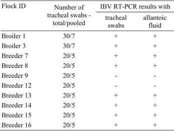Table 1. Sample information and IBV RT-PCR results.  Tablo 1. Örnek bilgileri ve IBV RT-PCR sonuçları