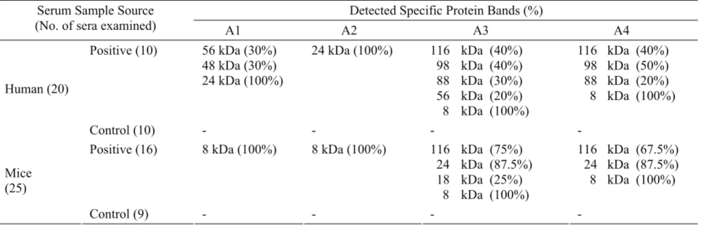 Table 1.  Detected specific protein bands in A1, A2, A3 and A4 antigens in human and mice sera  Tablo 1