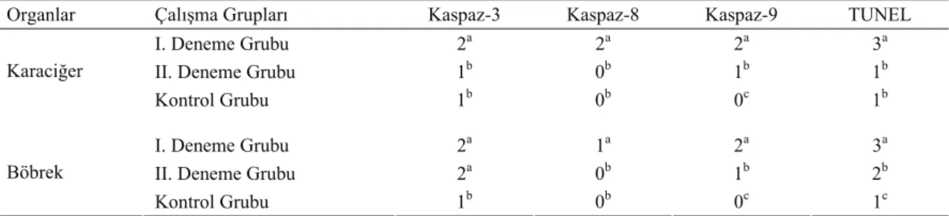 Table 2: The value of the result of IHC and TUNEL method to groups with statistical evaluations (n=14) 