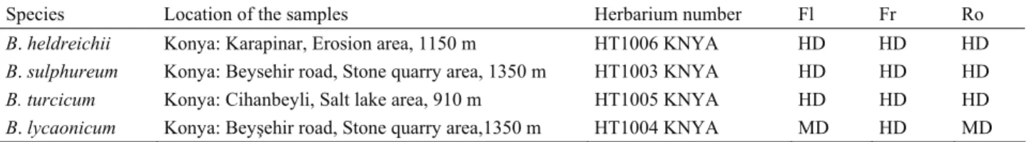 Table 1. Tested Endemic Buplerum species.   Tablo 1. Test edilen endemik Bupleurum türleri
