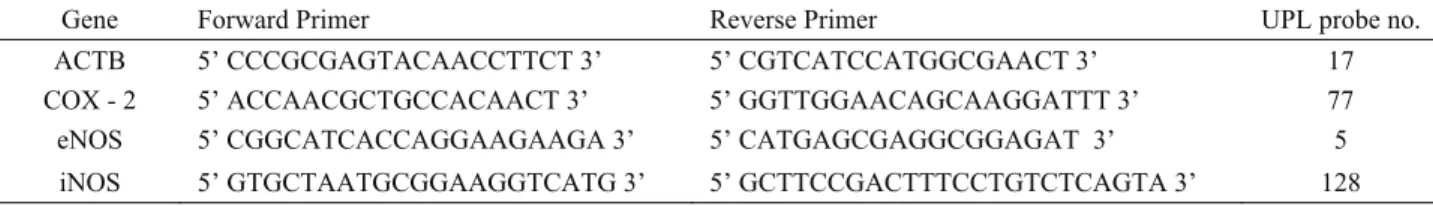 Table 1. The gene - specific primer sequences and probe numbers.  Tablo 1. Gene özgü primer dizileri ve prob numaraları