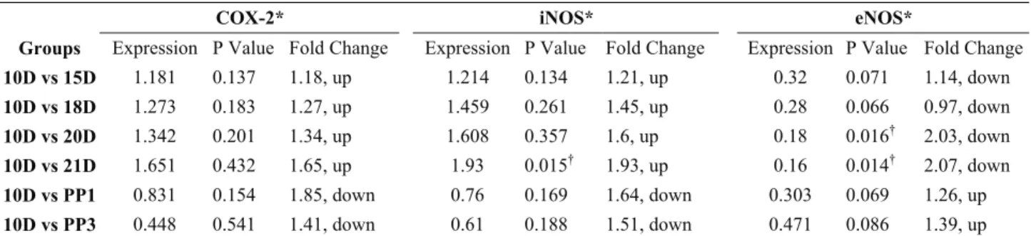 Table 2. Expression levels of COX-2, iNOS and eNOS genes in rat uterus  Tablo 2. Rat uterusunda COX-2, iNOS and eNOS genlerinin ifade düzeyleri 