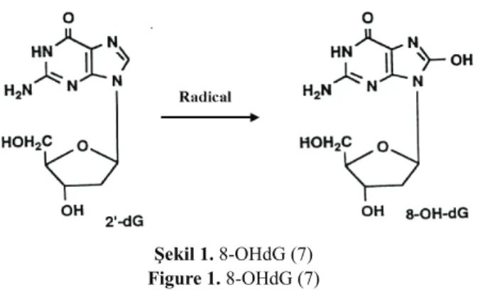 Şekil 1. 8-OHdG (7)  Figure 1. 8-OHdG (7) 