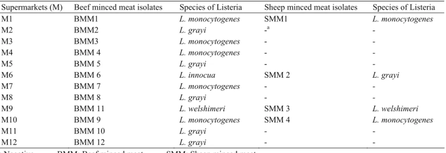 Table 2: Distribution of Listeria species isolated from beef and sheep minced meat belonging to different supermarkets