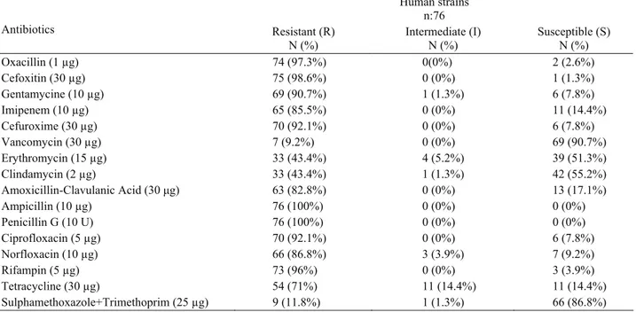 Tablo 2. MRSA suşlarının antibiyotik duyarlılık ve dirençliliklerinin dağılımı.  Table 2