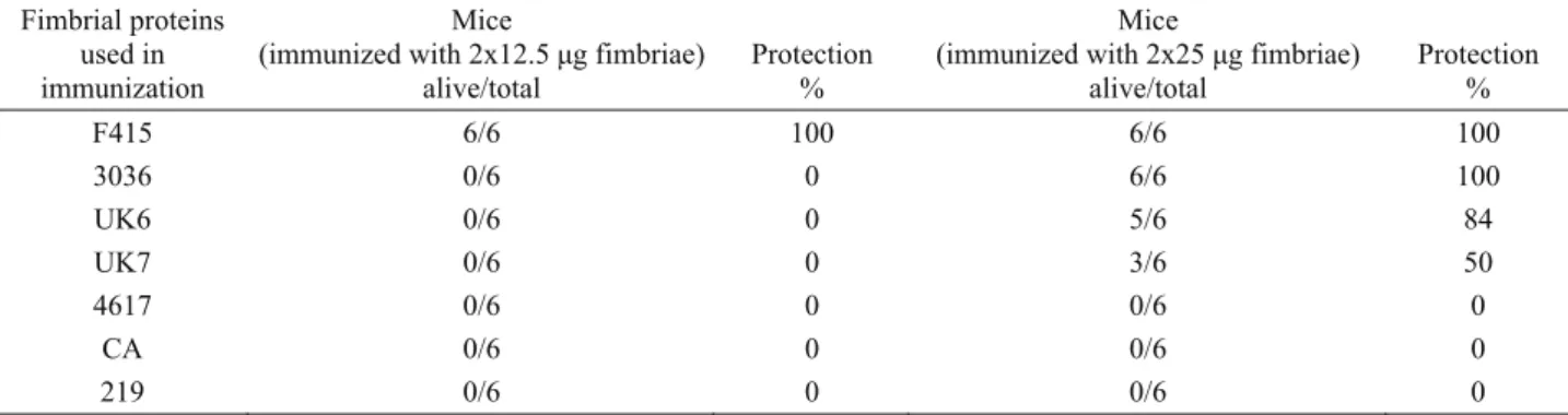Tablo 3. Değişik B. bronchiseptica suşlarına ait fimbriya proteinleri ile bağışıklanmış farelerde periton-içi canlı B